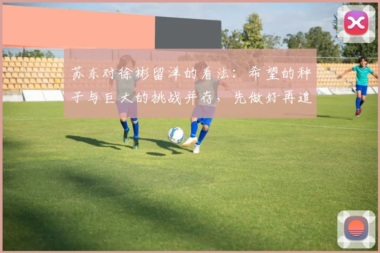 苏东对徐彬留洋的看法：希望的种子与巨大的挑战并存，先做好再追求完美